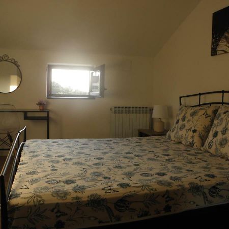 Apartman Klesinger 2 Poreč Zewnętrze zdjęcie